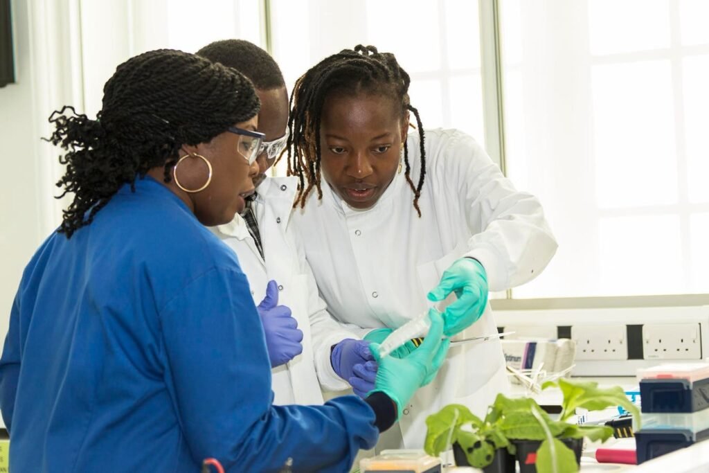 How can training scientists support smallholder farmers in Africa?