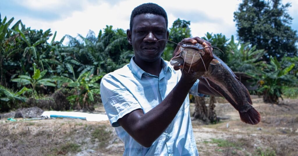 Taking Nigeria’s aquaculture to the next level