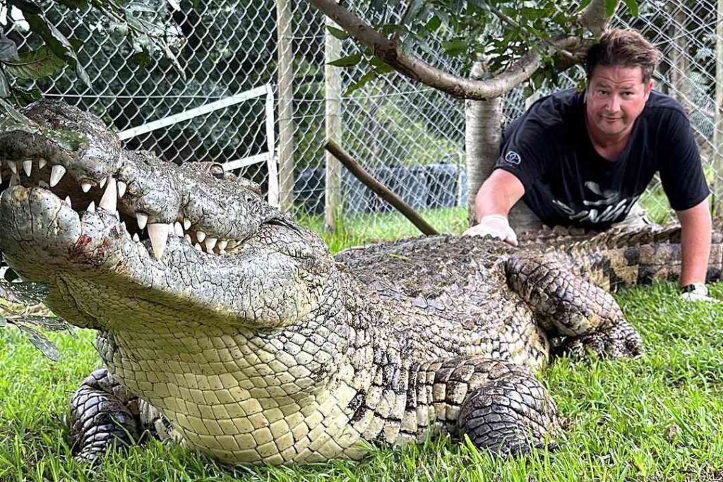 South Africa's Steve Irwin dies after being bitten by a poisonous snake