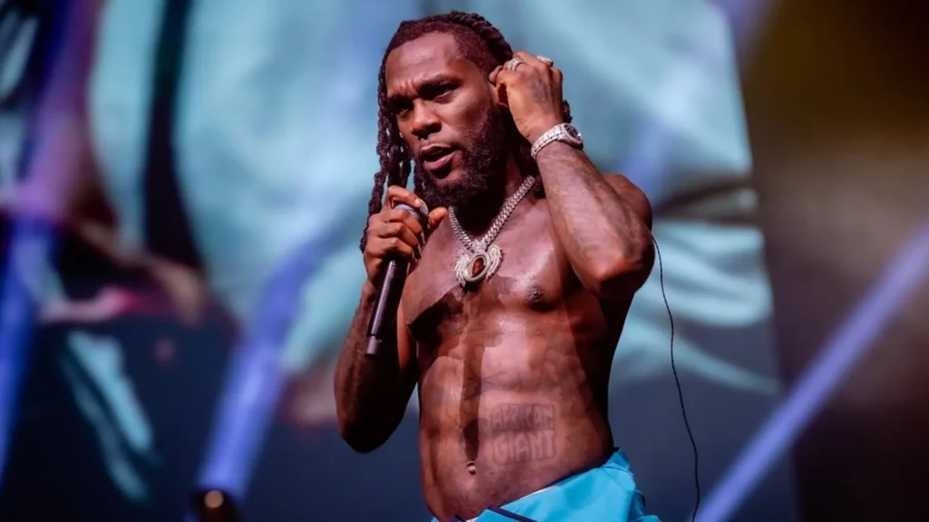 Burna Boy leads Nigerian music stars on Billboard Hot 100 chart