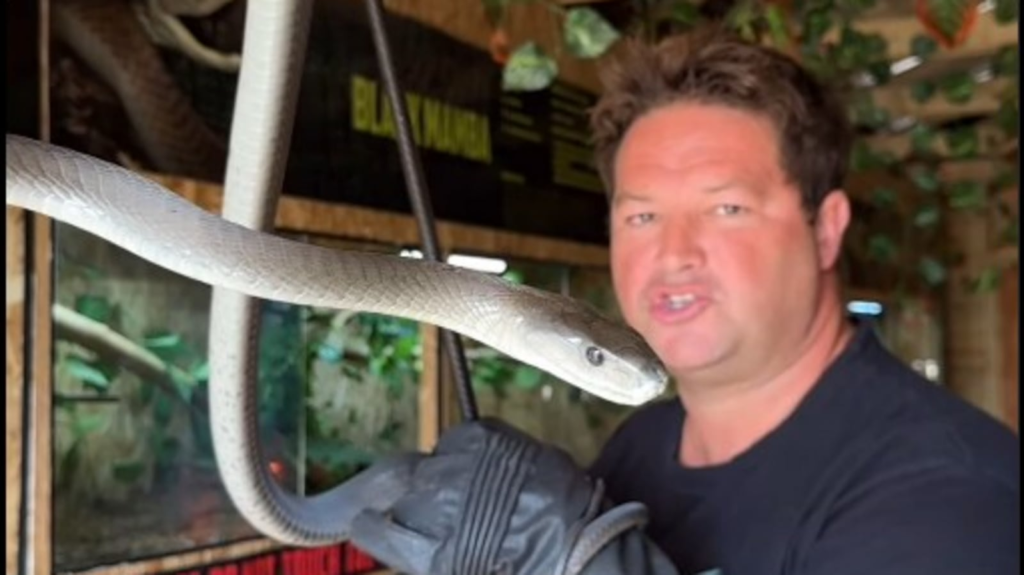 'South African Steve Irwin' dies at 44 after being bitten by green mamba