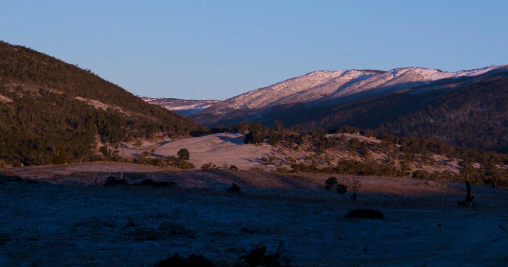 Woman found 'dazed and injured' after surviving several days in the wilderness after being bitten by a snake