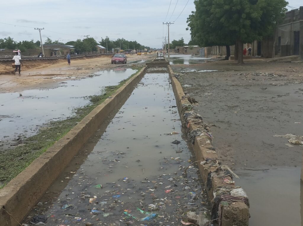 Cholera outbreak in Nigeria's Yobe claims nine lives as floods worsen health crisis